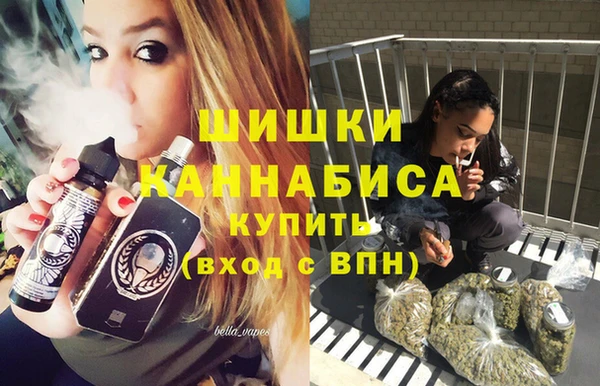 гидропоника Бородино